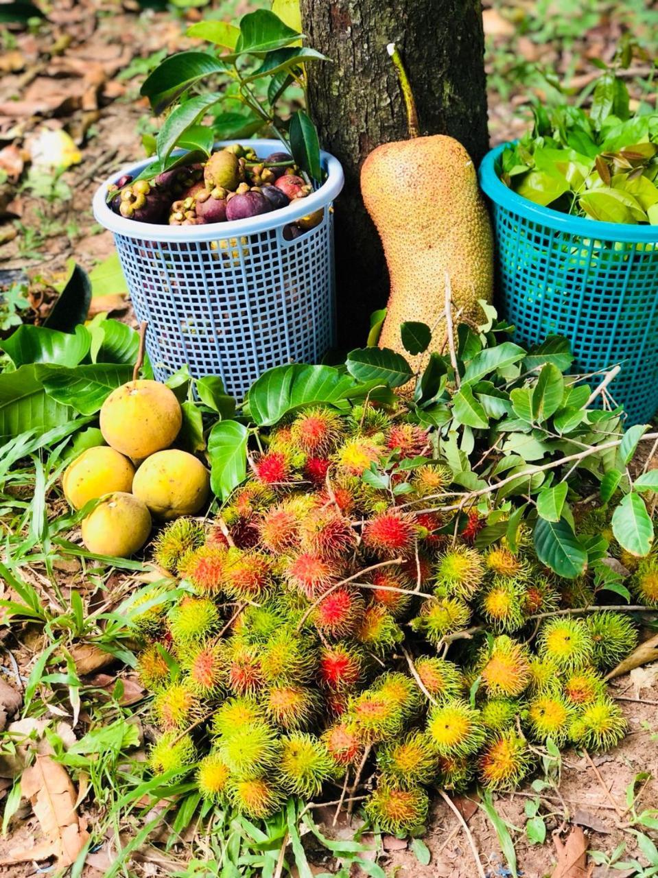 Baansuan Amaleena ヤオノイ島 エクステリア 写真