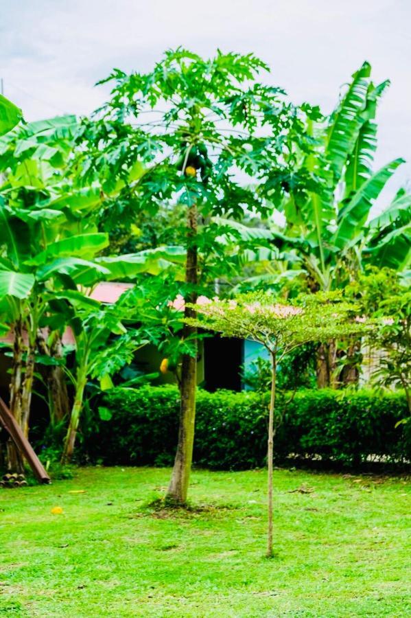 Baansuan Amaleena ヤオノイ島 エクステリア 写真